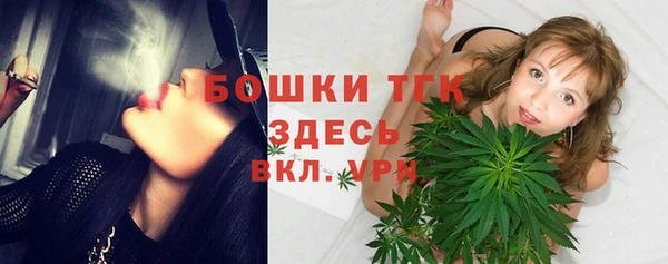 дурь Ельня