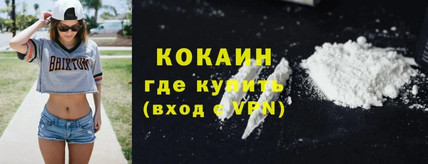 дурь Ельня