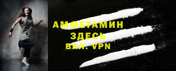 дурь Ельня