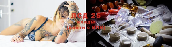 mdma Елизово