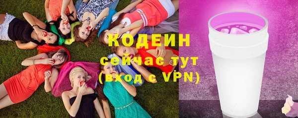 дурь Ельня