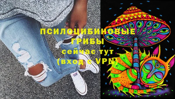 дурь Ельня
