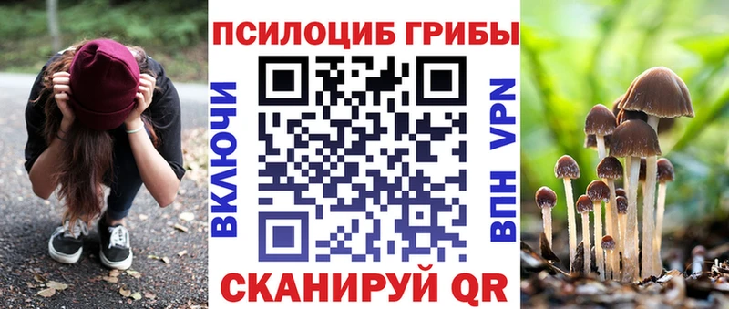 Псилоцибиновые грибы Psilocybine cubensis  blacksprut вход  Карабаново  как найти наркотики 